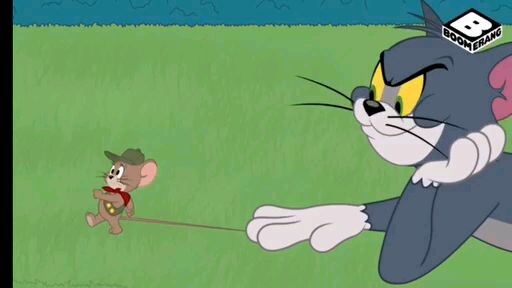 tom and jerry show