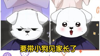 被理发完的小狗可爱洗了