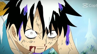 luffy:leave bonchan alone!!  *haki*