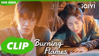 Bai Cai memikirkan Gou😍| Burning Flames | CLIP | iQIYI Indonesia
