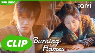 Bai Cai memikirkan Gou😍| Burning Flames | CLIP | iQIYI Indonesia