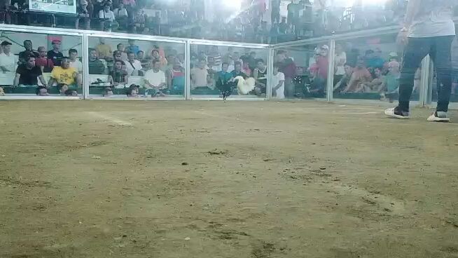 Blackxtornado first fight