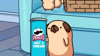 车座子细狗第五部之巴哥犬大冒险😂