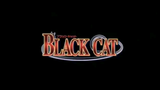 Black Cat Episode 23
