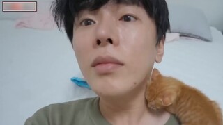 When you have a clingy orange kitten, your body becomes its nest.