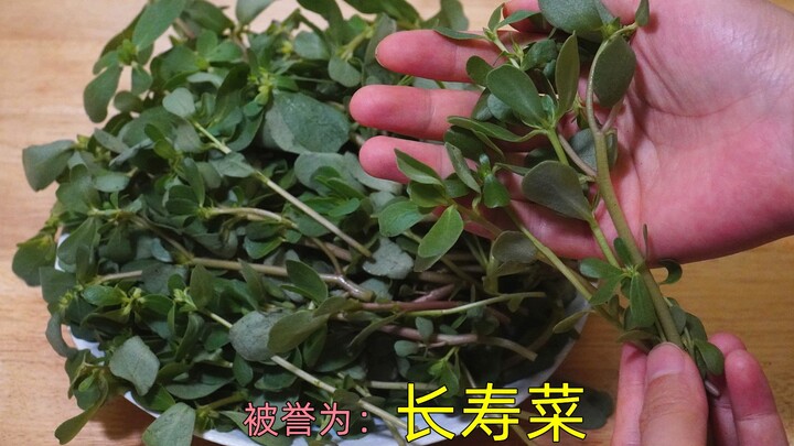 Di desa tak ada tanaman liar yang sia-sia; asal tahu caranya, semuanya jadi berharga. Pernahkah kamu