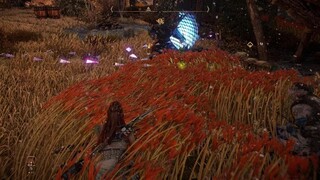 They're deaf aren't they..