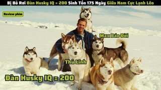 Đàn Chó Husky Bị Bỏ Rơi 175 Ngày Tự Sinh Tồn Giữa Nam Cực Lạnh Giá || review phim: am 8 do