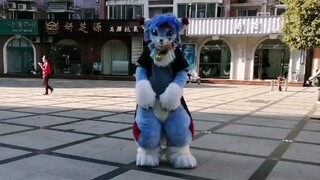 [Otaku Dance] [Fursuit] 45 Seconds Of Jayden's Improvisation!