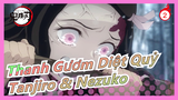 [Thanh Gươm Diệt Quỷ] Những cảnh buồn của Tanjiro & Nezuko_2