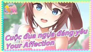 Cuộc đua ngựa đáng yêu
Your Affection