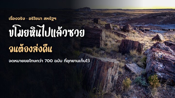 ขโมยหินจากป่านี้แล้วชีวิตพัง จนต้องส่งคืนทางไปรษณีย์ | เรื่องจริง ป่าหินอริโซนา