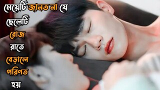 Cute Love Story 💖 | A Cat Becomes Human And Falls In Love With Its Owner | Korean Drama