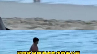 ฉันแค่อยากพูดว่า: กลับบ้านเถอะลูก กลับบ้านได้ไหม? ฉันแค่อยากพูดว่า: กลับบ้านเถอะลูก กลับบ้านได้ไหม? 