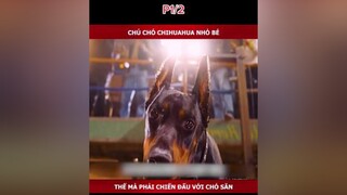 Chú chó chihuahua P1/2 1 xuhuong khophimngontinh phimngontinh mereviewphim phimhanquoc motphimhan fyp fypシ foryou