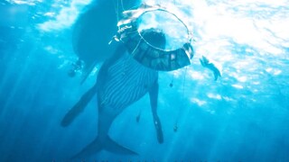 钢铁侠重生再就业，竟然想和路飞抢海贼王