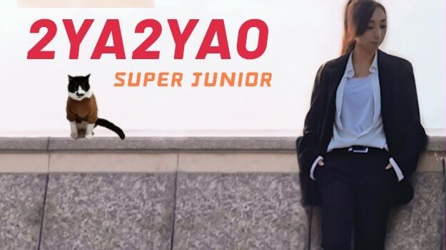 【HL varietyshop】super junior-2YA2YAO DANCE COVER เวอร์ชั่นซิงค์ของฮีแจ