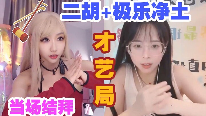 二胡+极乐净土梦幻联动，天啊！我看到了什么!