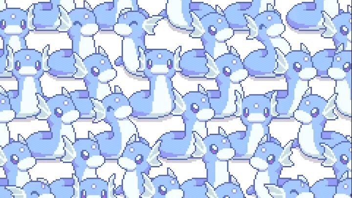 Can you find ditto?