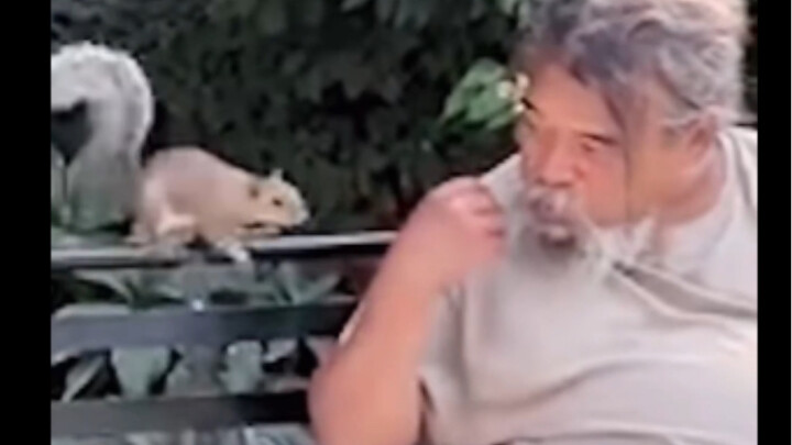He really does look like a grandfather from a fairy tale!
