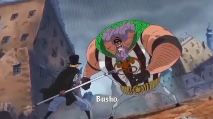 one piece busho