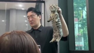 แมว: อย่าคิดว่าคุณจะเลื่อนตำแหน่งฉันได้เพียงเพราะคุณเป็นเจ้านาย