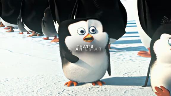 Penguin's of Madagascar