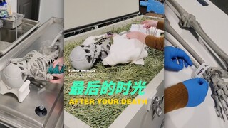 The last time I've ever been "served" in my life!