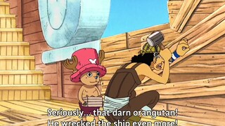 When Luffy tries to help and the end is 😆😆😆