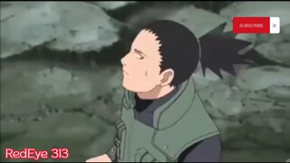 Naruto Shippuden Tagalog episode 313