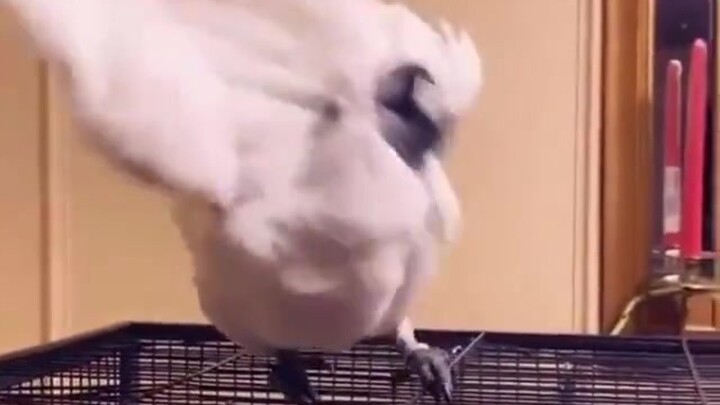 When you come across a song you love, just let yourself go and have fun.