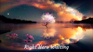 Right Here Waiting, Richard Marx