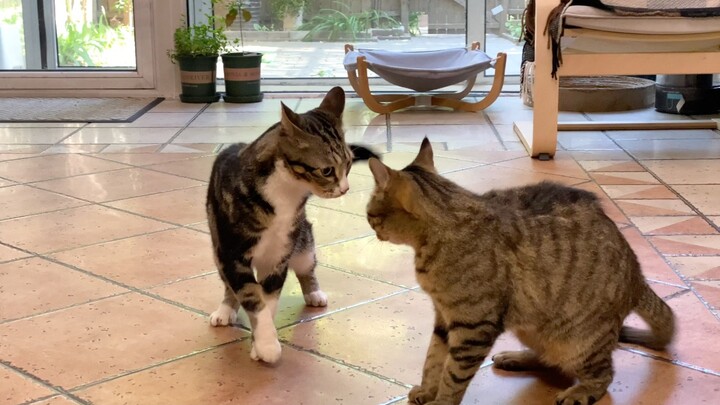 The more you work, the more you get; the less you work, the less you get. But if you want to get som