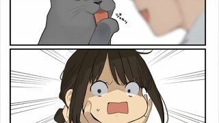 Kecemburuan pada kucing