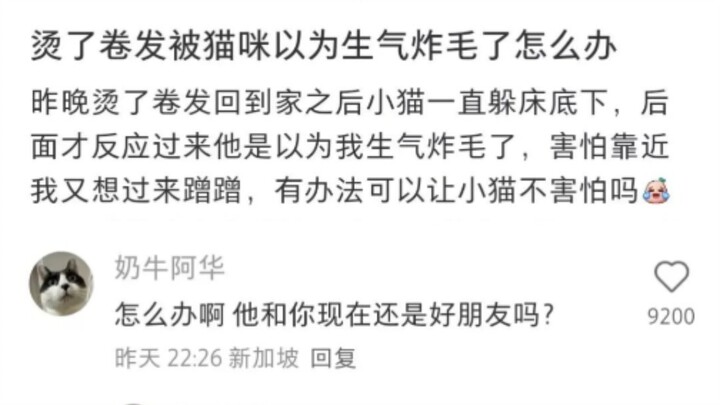 Sayang, pertanyaanmu lucu banget (｡•̀ᴗ-)✧