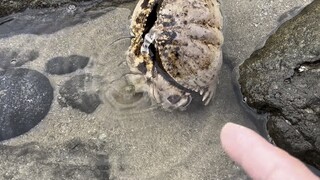 小宇今天差一点点就破防啦