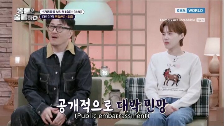 Animals Are Incredible Ep. 8