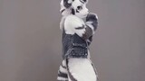 คลาสสิคมาก! ! ! พี่สาวนักเต้นออร์ซิช Sistar-Shake it! ! 【Fursuit Dance】【ซิลเวอร์คาร์บอน】