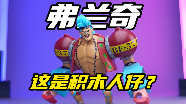 这个海贼王弗兰奇居然是积木人仔？