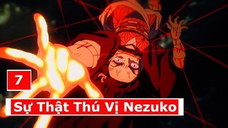 Top 7 Sự Thật Thú Vị Nezuko Kamado | Demonslayer ( Nezuko Facts)