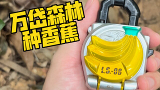 [Kamen Rider] Teach you how to grow bananas to eat in Wandai Forest!