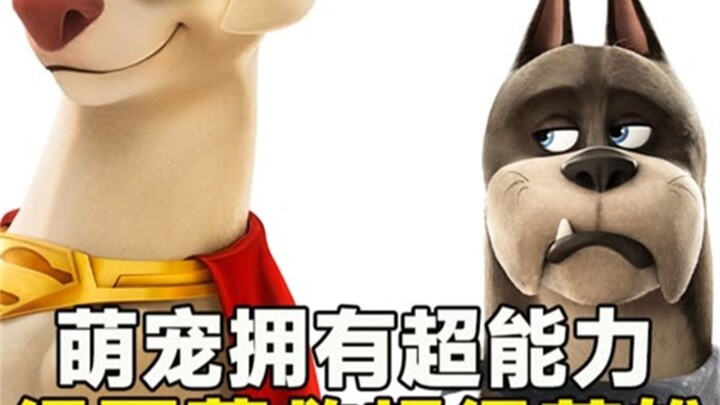 拥有超能力的萌宠们一起拯救超人和正义联盟的英雄 #动画  #动漫  #二次元