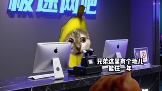 当网吧成了顾客第二个家