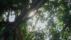 [ENGSUB] YOUR APPLE (2025) EP.07