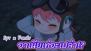 อาเนียเท่อะเปล่า!? : Spy x family (ตอนที่6 : 4/6)