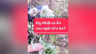 6 năm trôi qua r,cô ng Nhật vẫn bị ám ảnh zăm ba cái bãi shits chó 😁nhậtbản nhật cuộcsốngnhật ngườinhật cuộc_sống_ở_nhật cười trangmiujapan