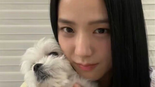 JISOO 7th Anniversary Live Broadcast Full Version