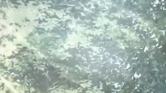 miyamura gantengg amayy.