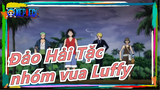 [Đảo Hải Tặc] Tính cách của nhóm vua Luffy