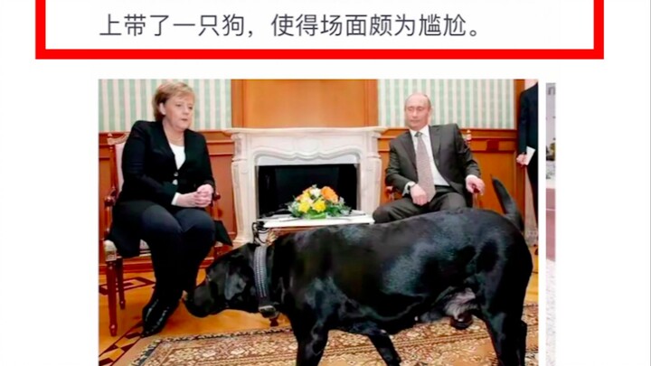 Những bức ảnh thú vị trong lịch sử! Trái Đất trực tuyến thật quá vui nhộn!